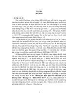 đánh giá  hiệu quả sản xuất rau tại xã hương chữ - hương trà - thừa thiên huế