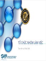 Tài liệu quản lý dự án - Tổ chức nhóm làm việc