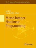 mixed integer nonlinear programming