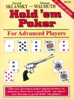 David sklansky & mason malmuth   holdem poker for advanced players