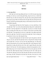 SKKN môn ngữ văn rèn kỹ năng viết văn nghị luận cho học sinh lớp 9 theo chuẩn kiến thức kỹ năng