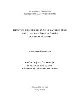 PHÂN TÍCH HIỆU QUẢ DỰ ÁN XỬ LÝ VÀ TÁI SỬ DỤNG CHẤT THẢI TẠI CÔNG TY CỔ PHẦN BOURBON TÂY NINH