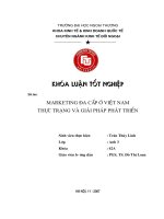 Marketing đa cấp ở việt nam, thực trạng và giải pháp phát triển