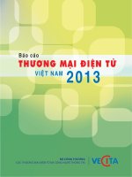 báo cáo thương mại điện tử việt nam 2013