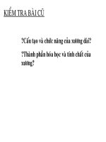 Giáo án Sinh học 8 bồi dưỡng Tiết 9 Cấu tạo và tính chất của cơ tham khảo