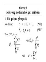 Chương 3 Mở rộng mô hình hồi qui hai biến