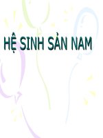 he sinh san nam