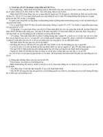 Cấu thành và đặc điểm nền hành chính nhà nước