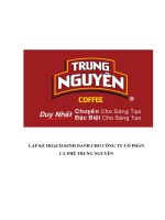 Lập KHKD cho công ty cổ phần cà phê trung nguyên
