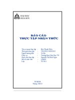 báo cáo thực tập nhận thức tại báo thanh niên