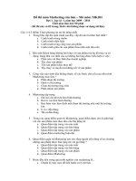 Đề thi marketing căn bản 2013