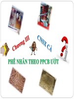 Bài giảng Công nghệ sản xuất cà phê nhân theo phương pháp ướt