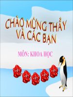 Giáo dục đạo đức học sinh tiểu học chuyên đề Giao thông đường bộ