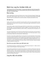 Bệnh học ung thư amiđan khẩu cái