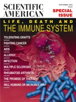 scientific american   -  1993 09  -  special issue  -  life, death, and the immune system