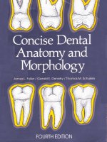 concise dental anatomy and morphology 4th ed.  -  j. fuller, et. al., (univ. iowa college of dentistry, 2001)