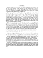 Nghiên cứu tổng hợp hệ xác tác hiệu quả cao trên cơ sở Zeolit Y, sử dụng cho quá trình cracking cặn dầu thu nhiên liệu