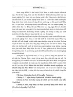 Phân tích tình hình TCDN của chi nhánh xăng dầu