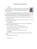 Kỹ thuật trồng và công dụng cây hồi