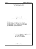 Các mô hình chiến lược của Viễn Thông Thừa Thiên Huế