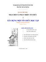 tiểu luận xây dựng một tổ chức học tập