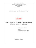 Tiểu luận: Cho vay kích cầu đối với các Doanh nghiệp của các NHTM ở Việt Nam hiện nay