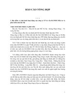 Báo cáo tổng hợp về công ty cổ phần tư vấn HANDIC - Đầu tư và phát triển nhà Hà Nội