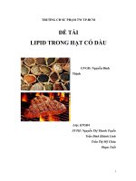 Lipid trong hạt có dầu