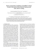 beam propagation modeling of modified volume fresnel zone plates fabricated by femtosecond laser direct writing