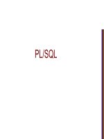 Stands for Procedural Language