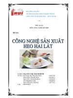 ĐỀ TÀI:  CÔNG NGHỆ SẢN XUẤT  HEO HAI LÁT