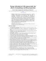 energy relaxation in cdse nanocrystals the effects of morphology and film preparation