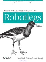 actionscript  developers  guide  to  robotlegs