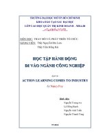 tiểu luận học tập hành động đi vào ngành công nghiệp