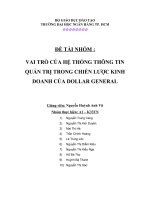 VAI TRÒ CỦA HỆ THỐNG THÔNG TIN QUẢN TRỊ TRONG CHIẾN LƯỢC KINH DOANH CỦA DOLLAR GENERAL