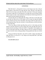 mô hình xã hội hóa công tác bảo vệ môi trường ở việt nam hiện nay