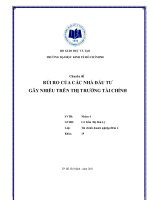 rủi ro của các nhà đầu tư gây nhiễu trên các thị trường tài chính