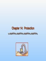 Chapter 14 Protection
