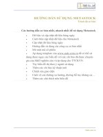 hướng dẫn sử dụng metastock