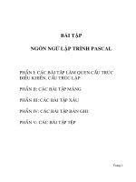 Ngôn ngữ lập trình pascal
