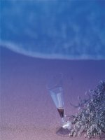 cơ sở biện luận lâm sàng