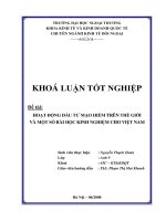 Hoạt động đầu tư mạo hiểm trên thế giới và một số bài học kinh nghiệm cho việt nam (2008)