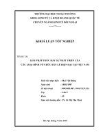 Giải pháp thúc đẩy sự phát triển của các loại hình tổ chức bán lẻ hiện đại tại việt nam