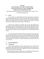DỰ THẢO  BÁO CÁO QUẢN LÝ CÁC NGUY CƠ MÔI TRƯỜNG CỦA DỰ ÁN HỖ TRỢ XỬ LÝ CHẤT THẢI BỆNH VIỆN NGUỒN VỐN VAY NGÂN HÀNG THẾ GIỚI