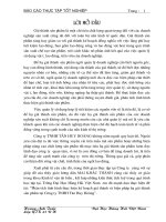 phân tích tình hình thực hiện kế hoạch giá thành và biện pháp hạ giá thành sản phẩm tại công ty tnhh tân huy hoàng