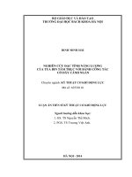 Nghiên cứu đặc tính năng lượng của tua bin tâm trục với bánh công tác có dãy cánh ngắn