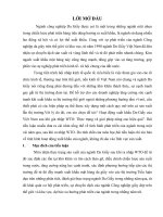 hoạt động xuất khẩu da-giầy của việt nam sau khi gia nhập wto