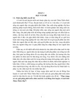 thực trạng  và các giải pháp phát triển chăn nuôi bò ở xã đông sơn huyện a lưới tỉnh thừa thiên huế