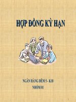 Tiểu luận: Hợp đồng kỳ hạn