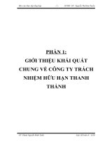 Báo cáo kiến tập về kế toán phải thu khách hàng tại công ty trách nhiệm hữu hạn Thanh Thảnh